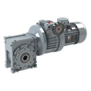 Worm gear reducer with variator