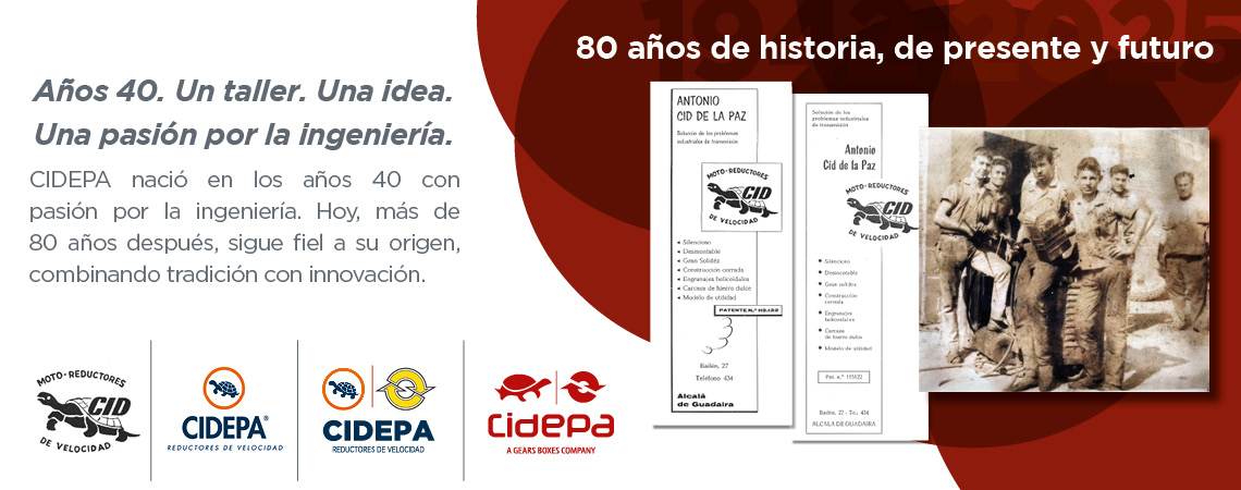 Motorreductor y Reductor de Velocidad
