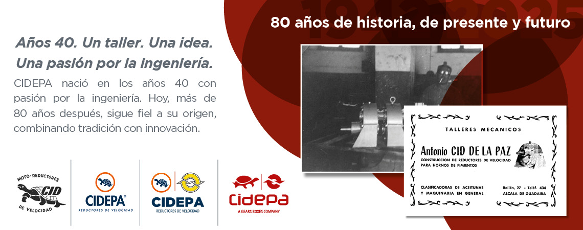 Motorreductor y Reductor de Velocidad